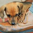 Puppy Chew Large Shoe 557 KB